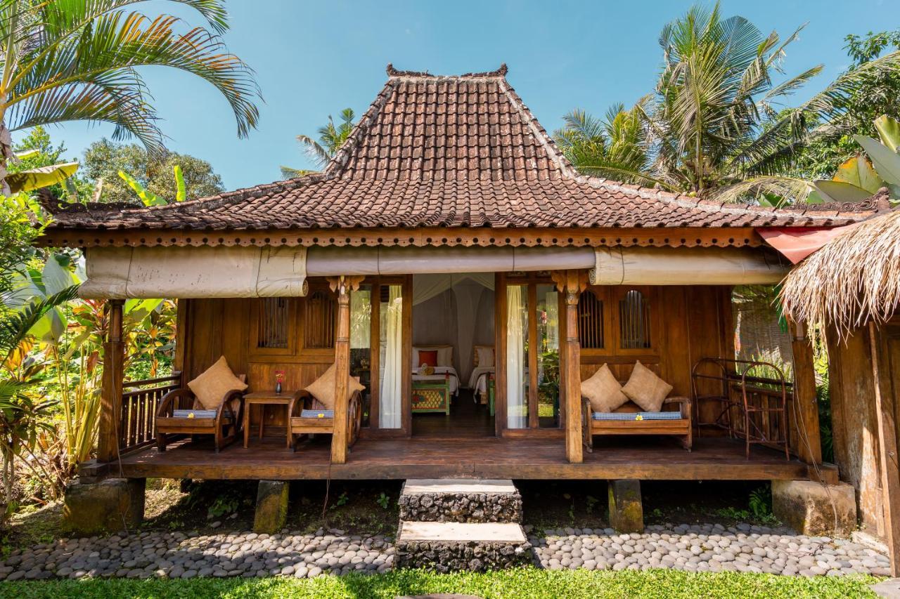 Hotel The Shala Bali Ubud Exteriér fotografie